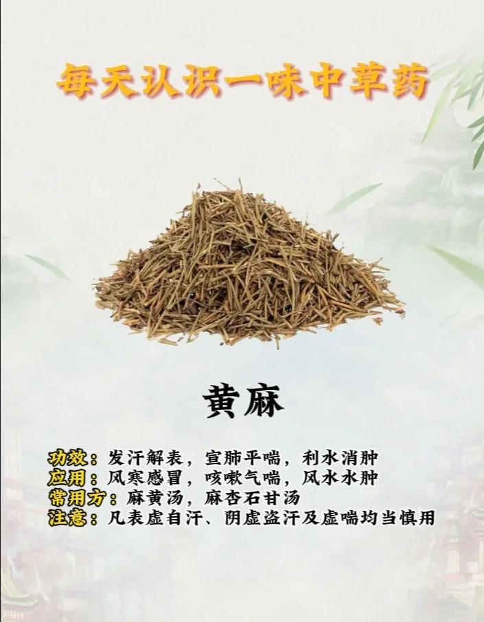总结一下