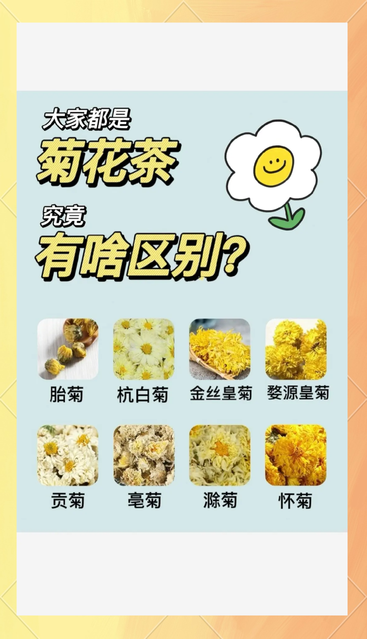 选择优质杭白菊,才能体现理想效果
