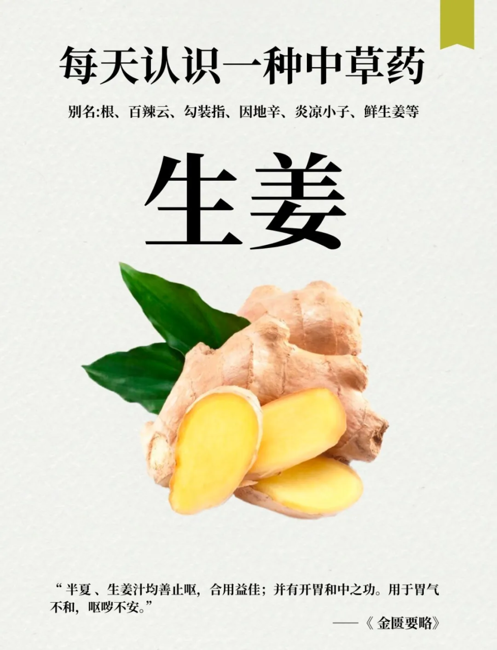 促消化,缓解不适感