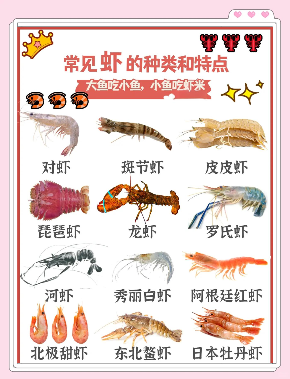 虾对身体有多种身心健康功效？