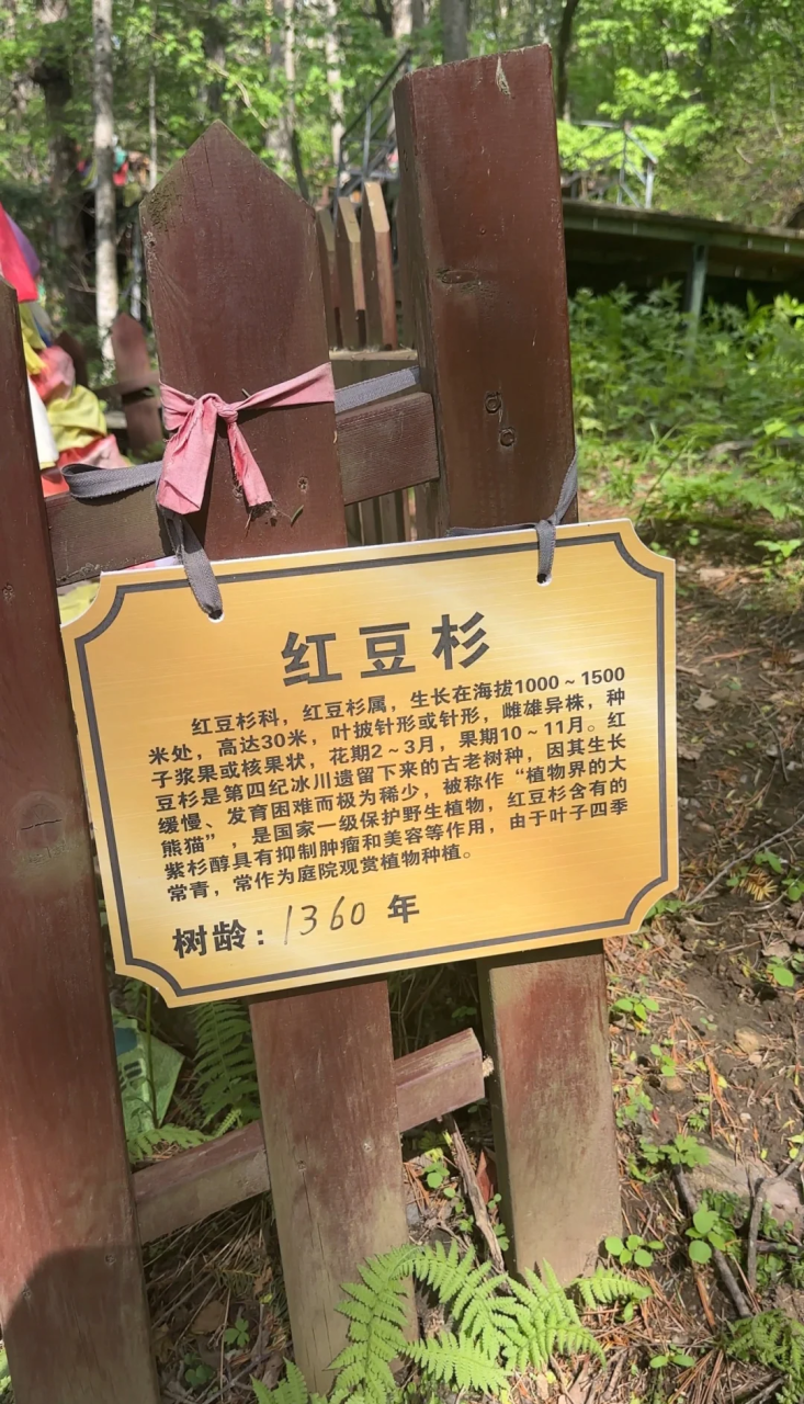 对健康多种益处