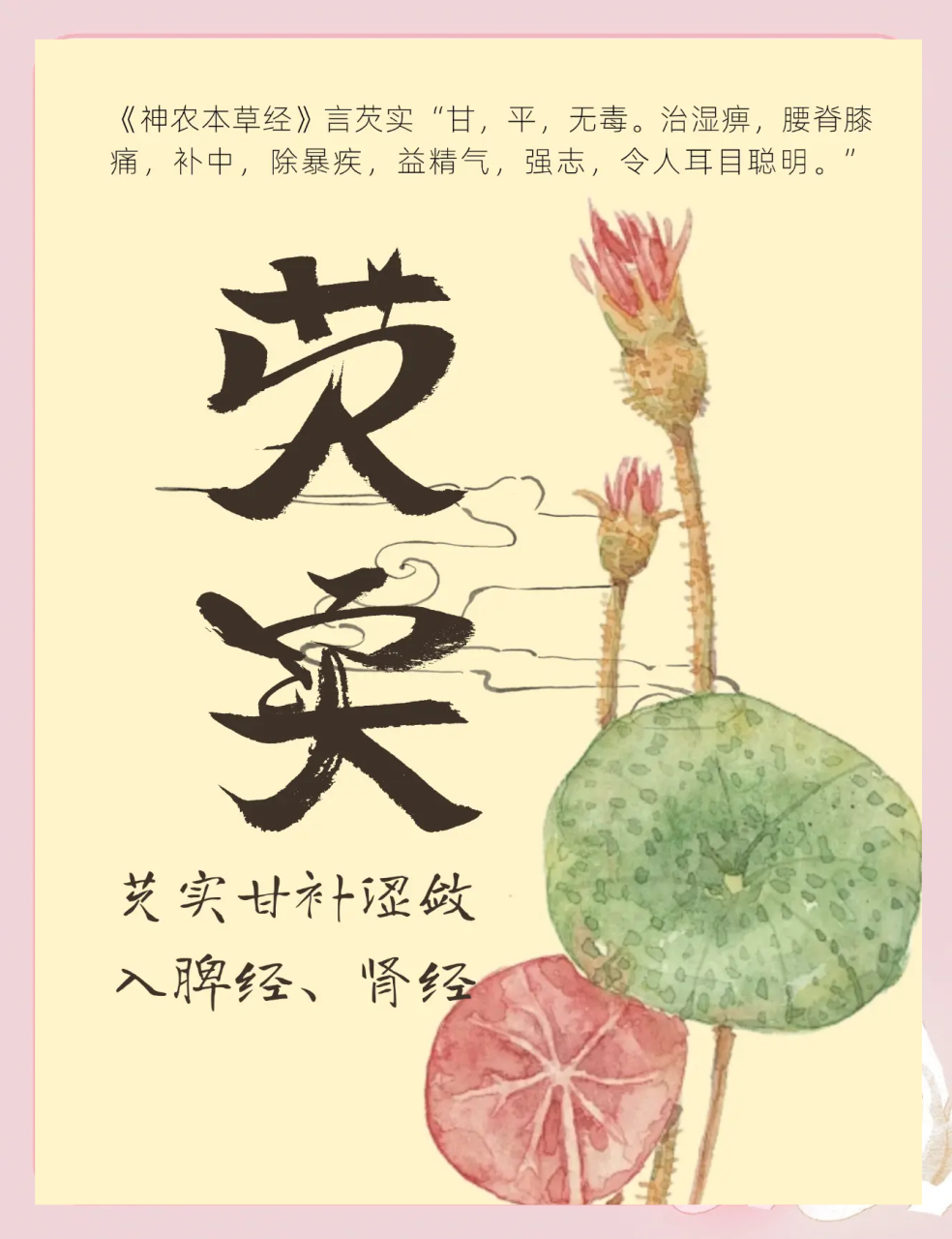 如何巧妙搭配芡实