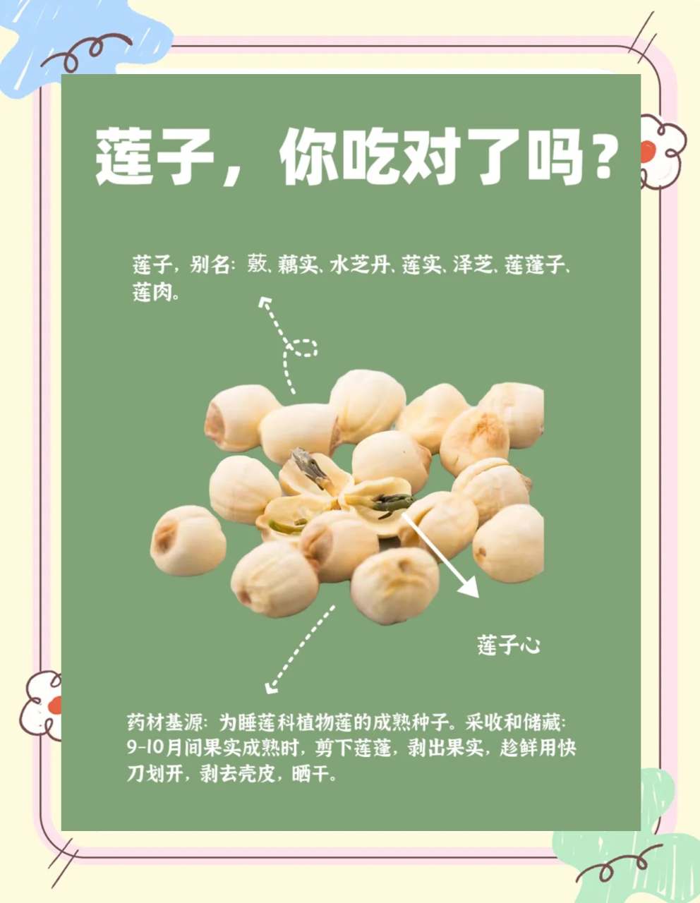 日常饮食中的健康之选