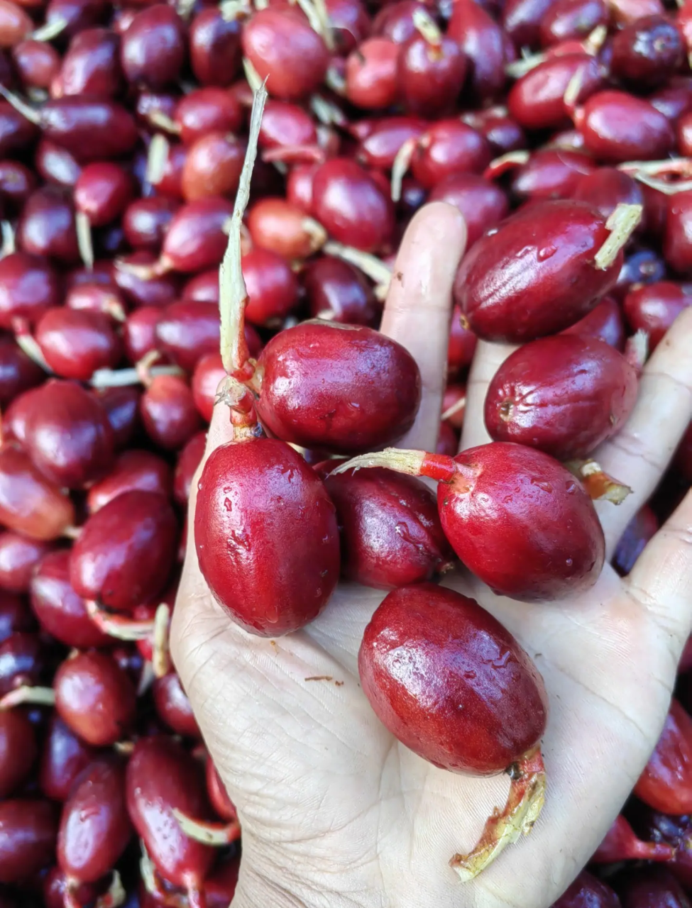 选购与储存小贴士