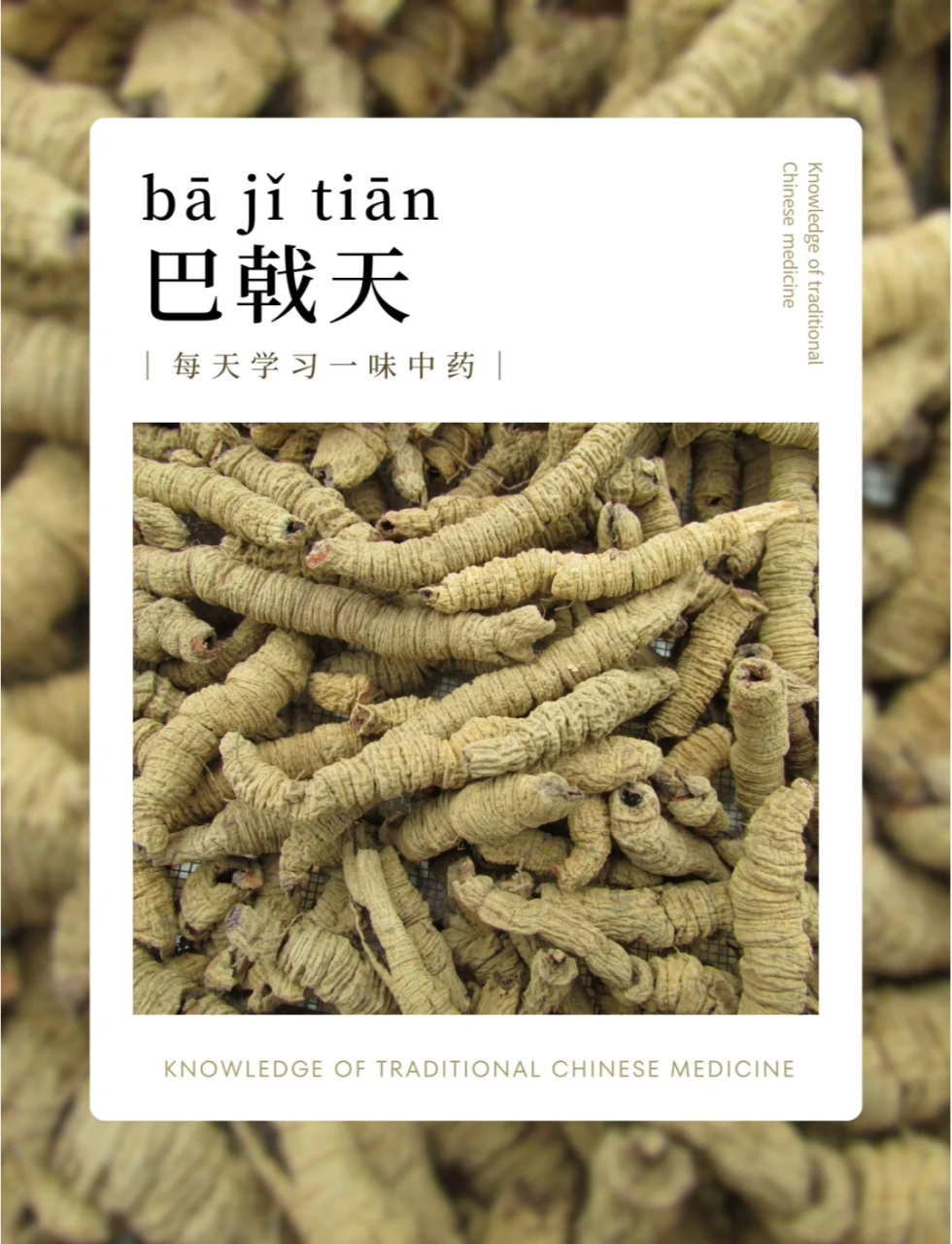 常见用法与搭配