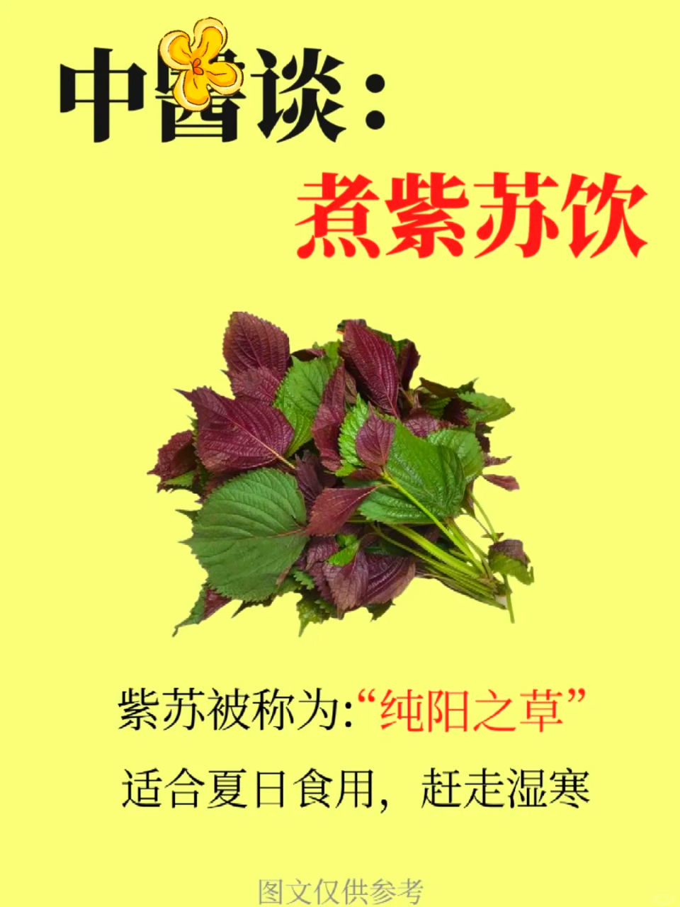 日常生活中的小确幸