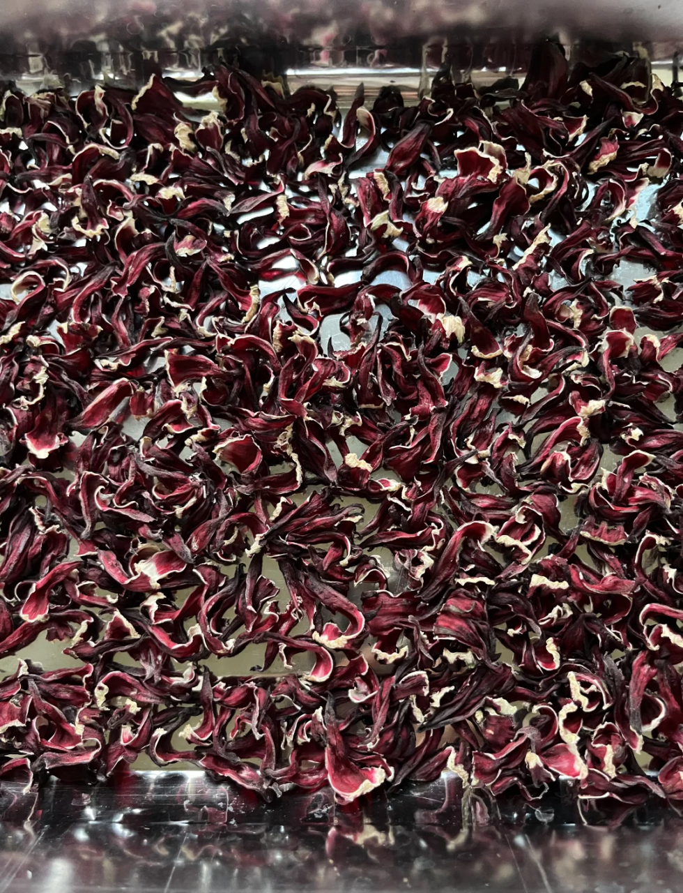 健康与心理上的积极作用