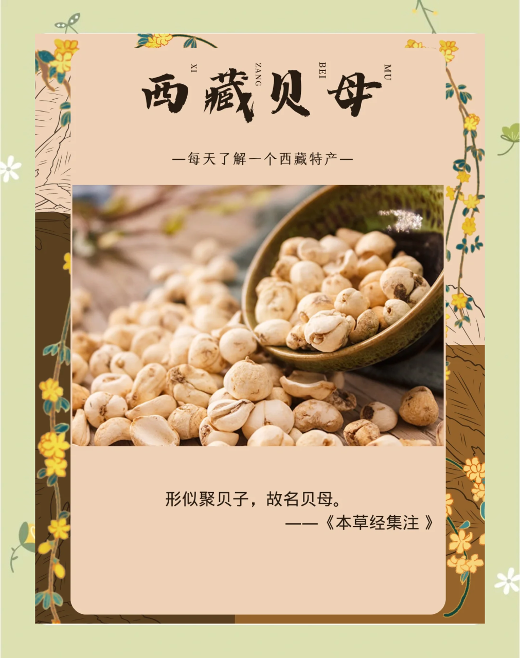 日常保健中的应用