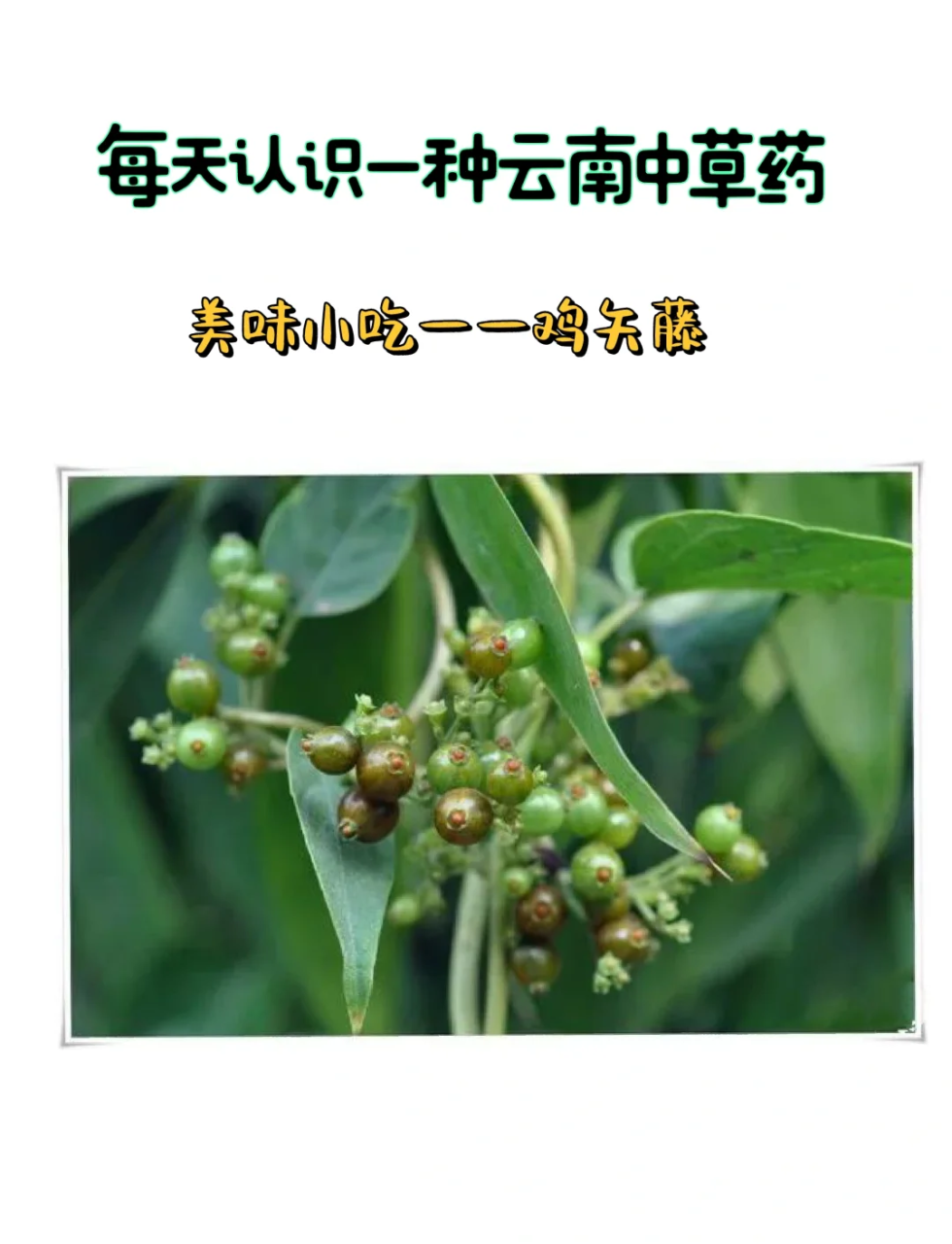 常见的用途与使用方法