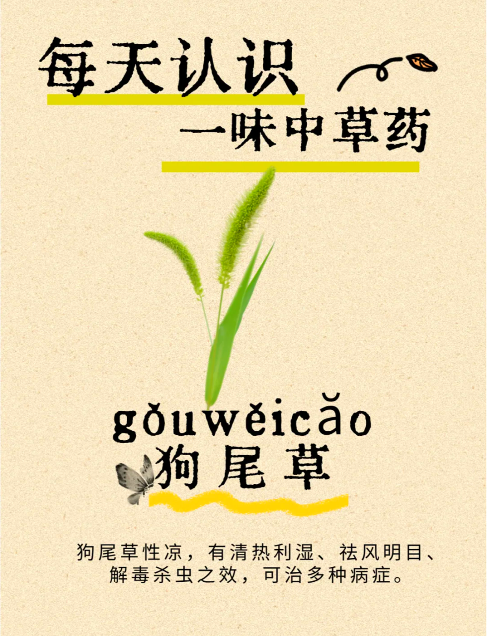 日常生活中的实用小贴士