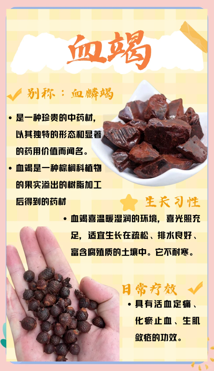 保养肌肤,延缓衰老