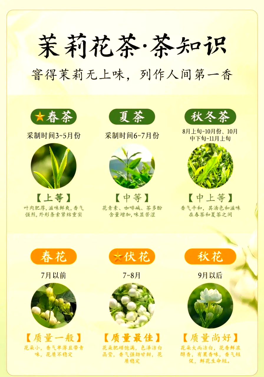 抗氧化,延缓衰老