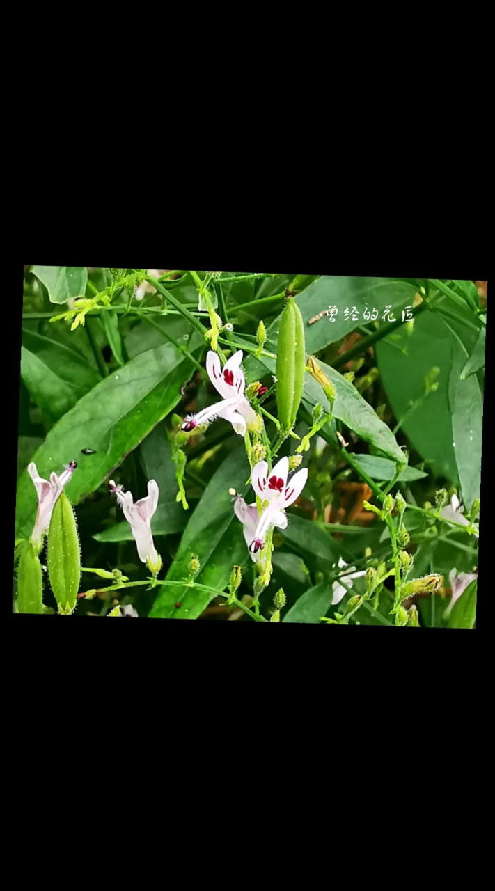 自然的力量不可小觑