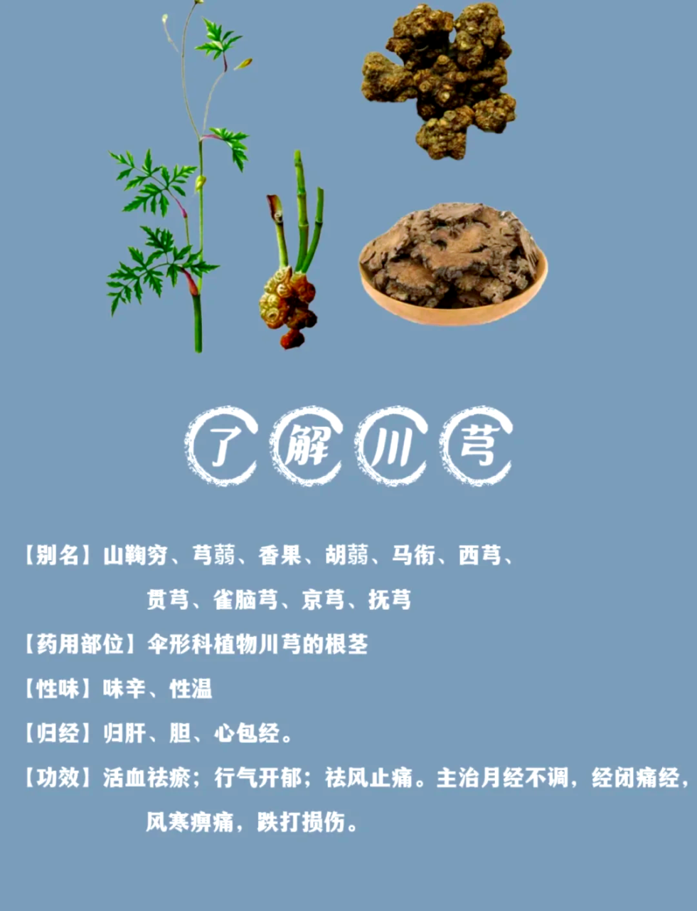 川芎在日常日常生活也可以灵活运用