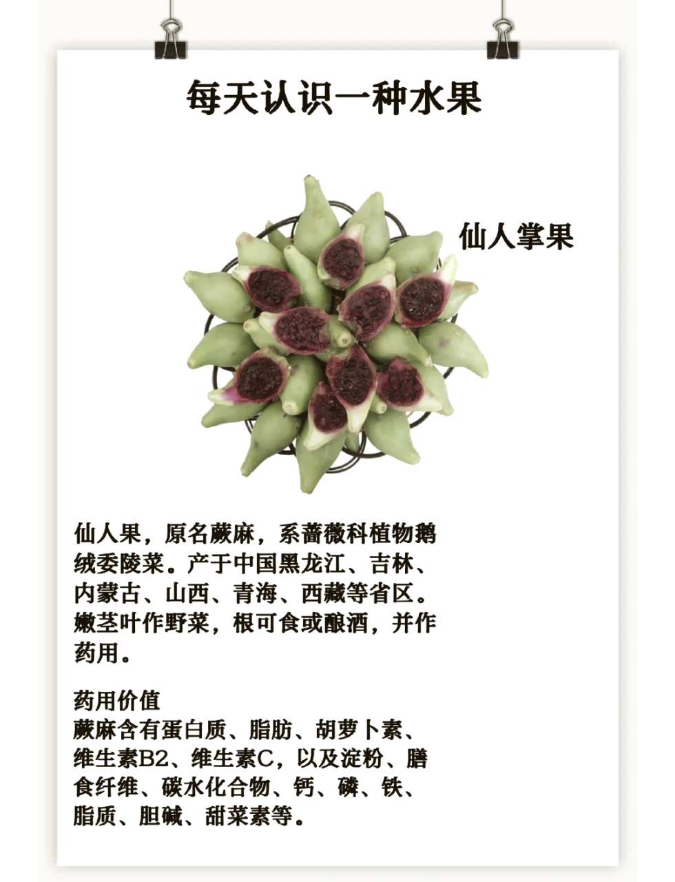 促进消化,改善肠道健康