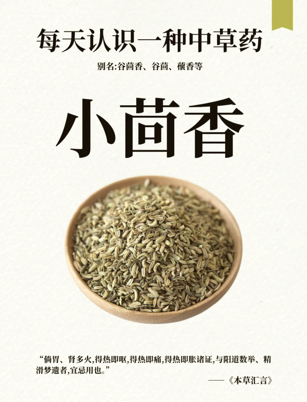 增强免疫力,延缓衰老