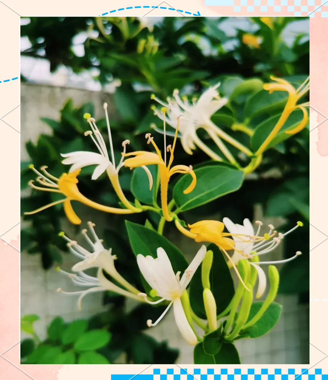 自然的力量,值得信赖