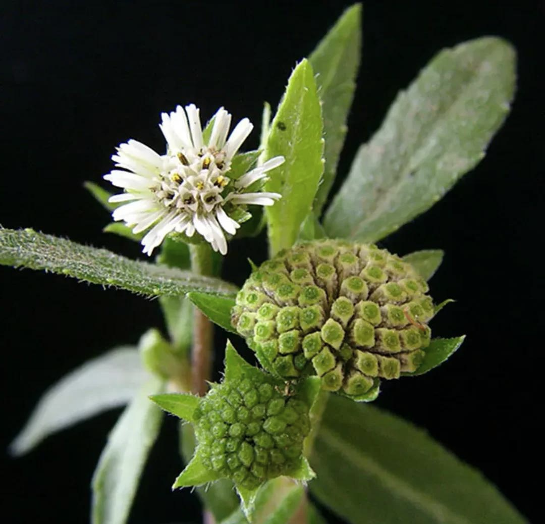 四、使用时的小贴士