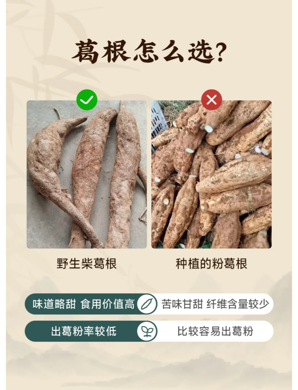 适合各类人群的健康食材