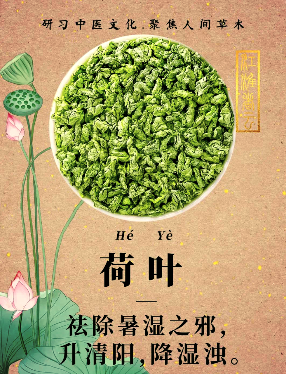 荷叶的健康功效