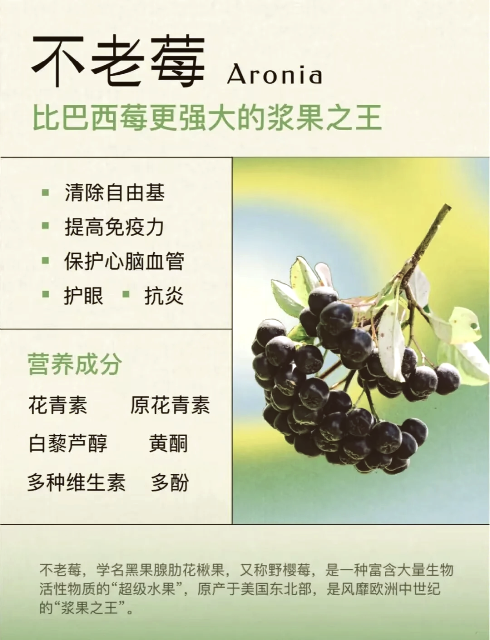 对眼睛的保护作用