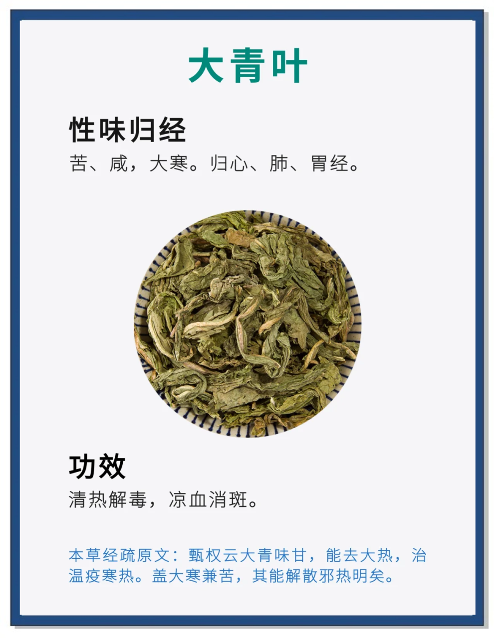 大青叶的健康益处