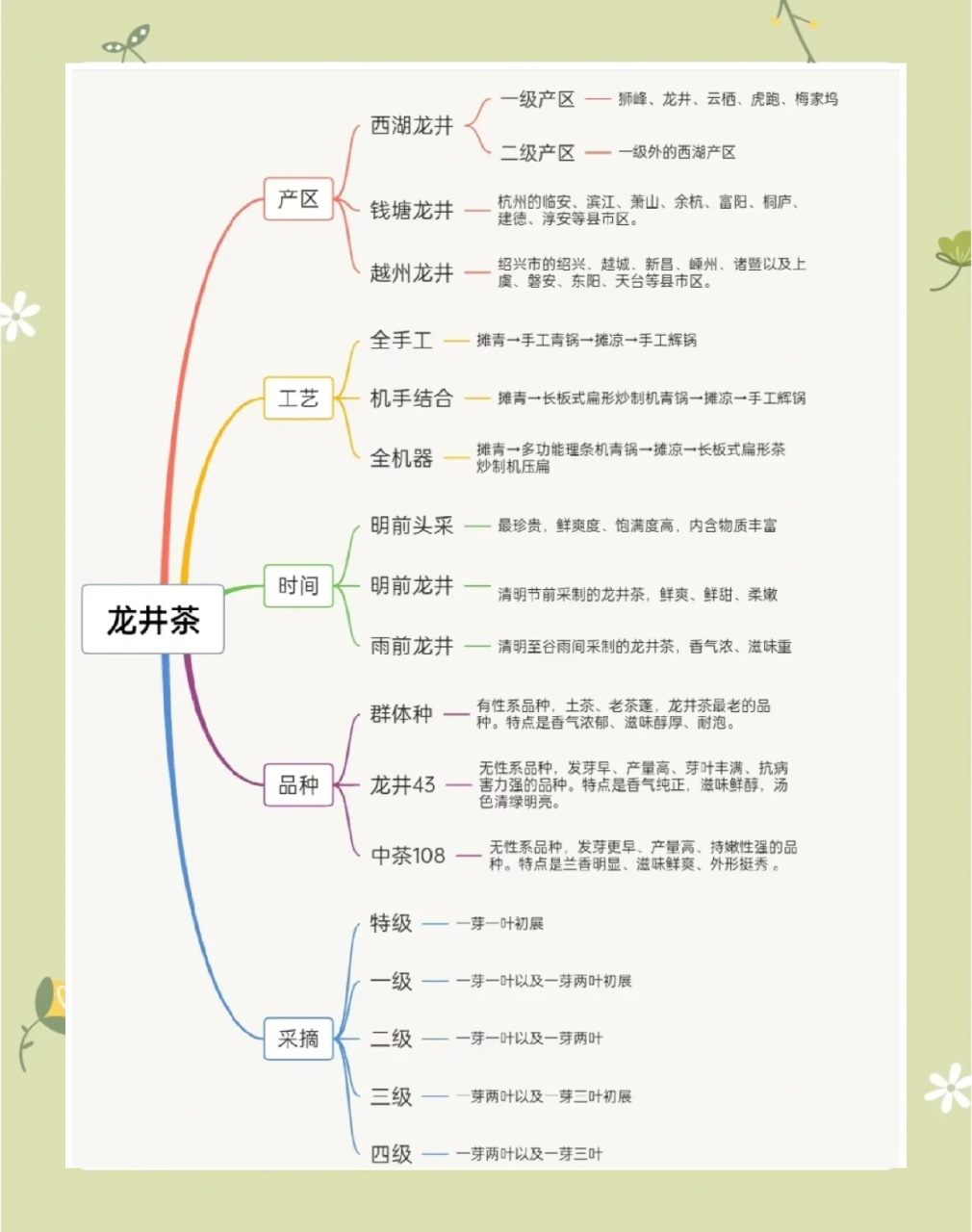 促进新陈代谢与排毒