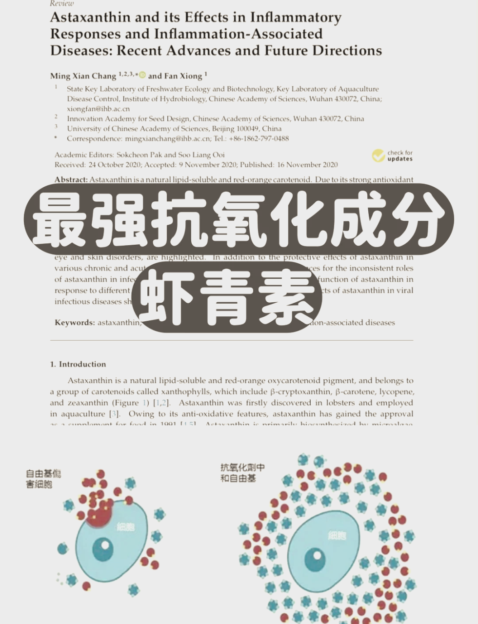 日常生活中的应用