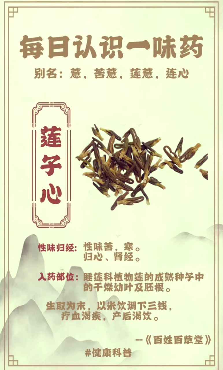 营养全面,增强抵抗力