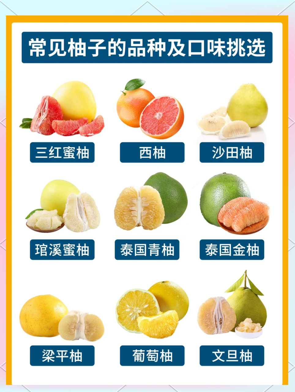 有助于消化和排毒