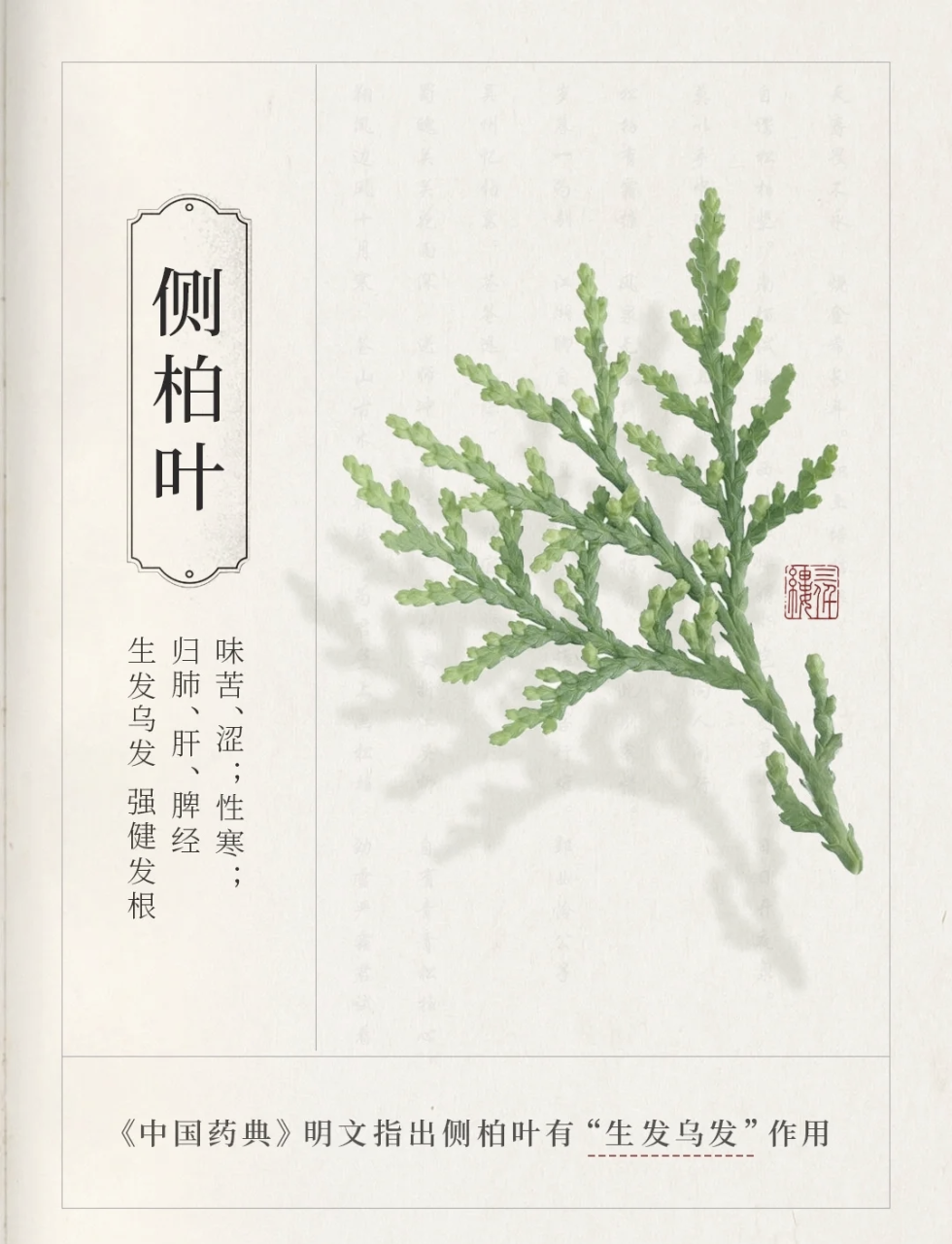 日常运用方式各种各样