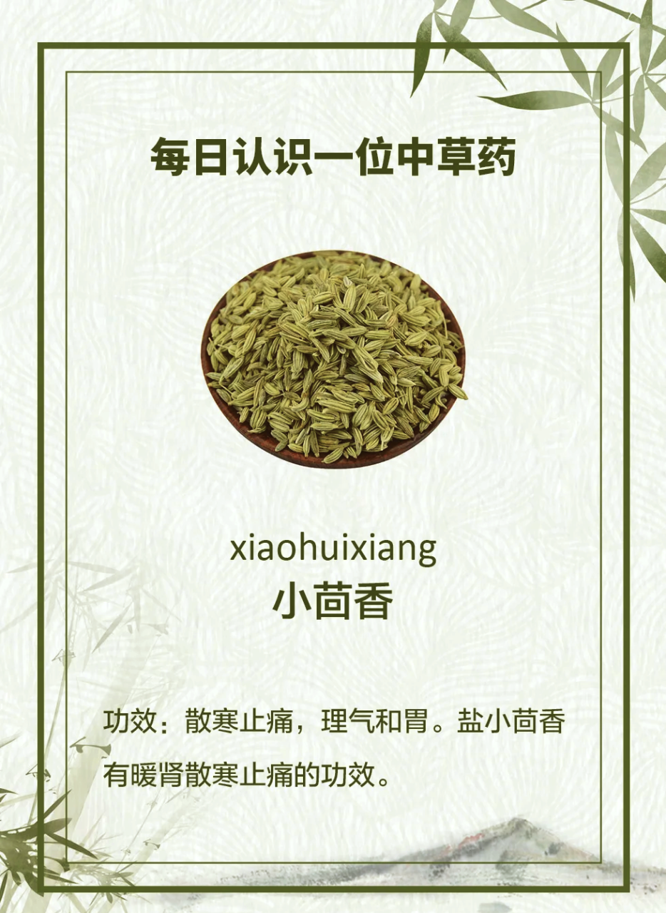 小提示:怎样更好地利用茴香菜?