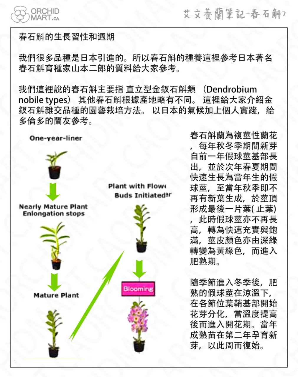 结果:健康养生从日常日常生活逐渐