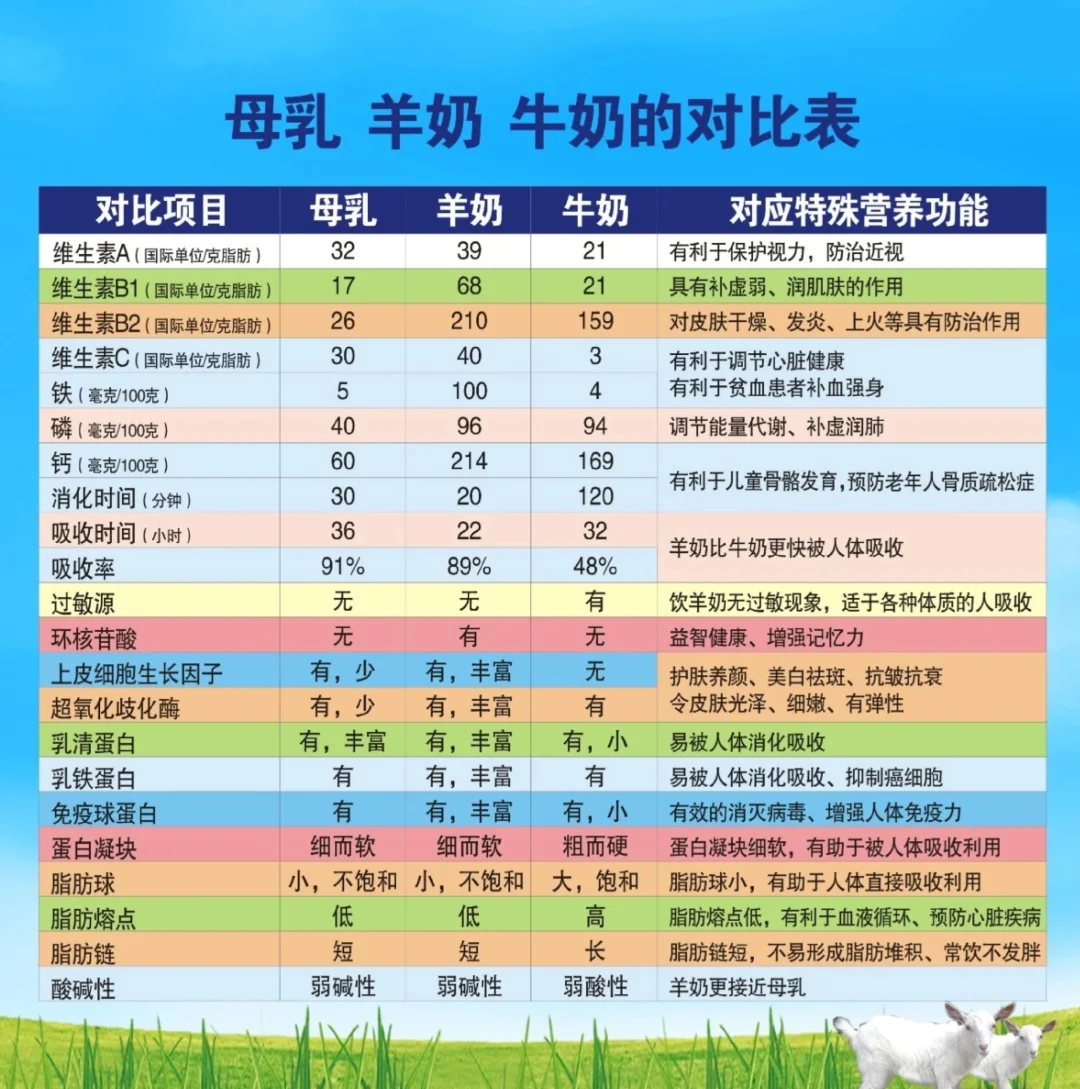 推动消化吸收,减少皮肤过敏风险性