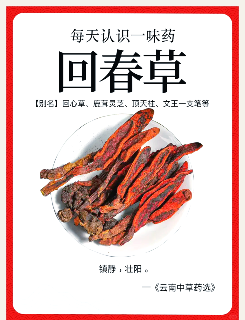 如何正确使用回春草