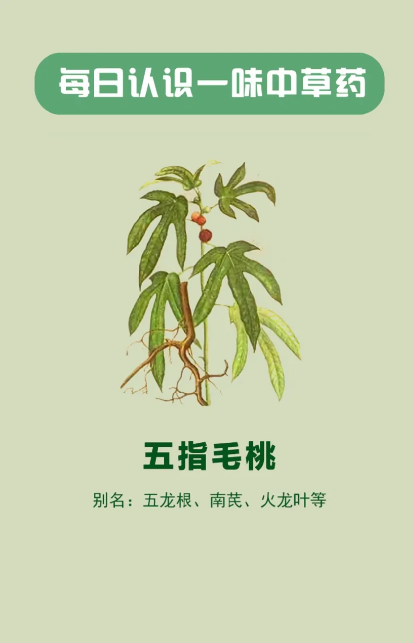 身心健康实际效果多种多样,调养身体更高效