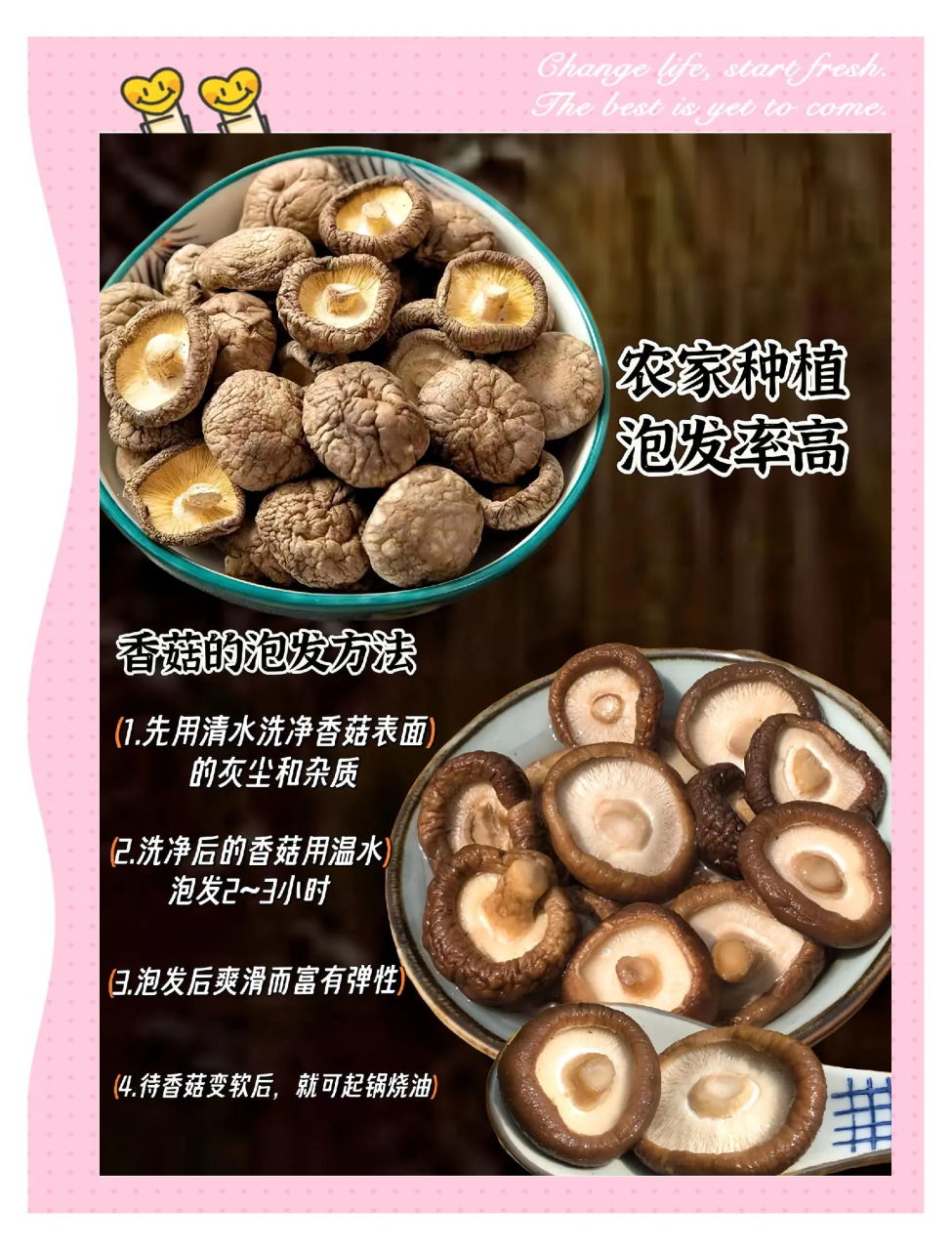 促消化,改善肠道身心健康