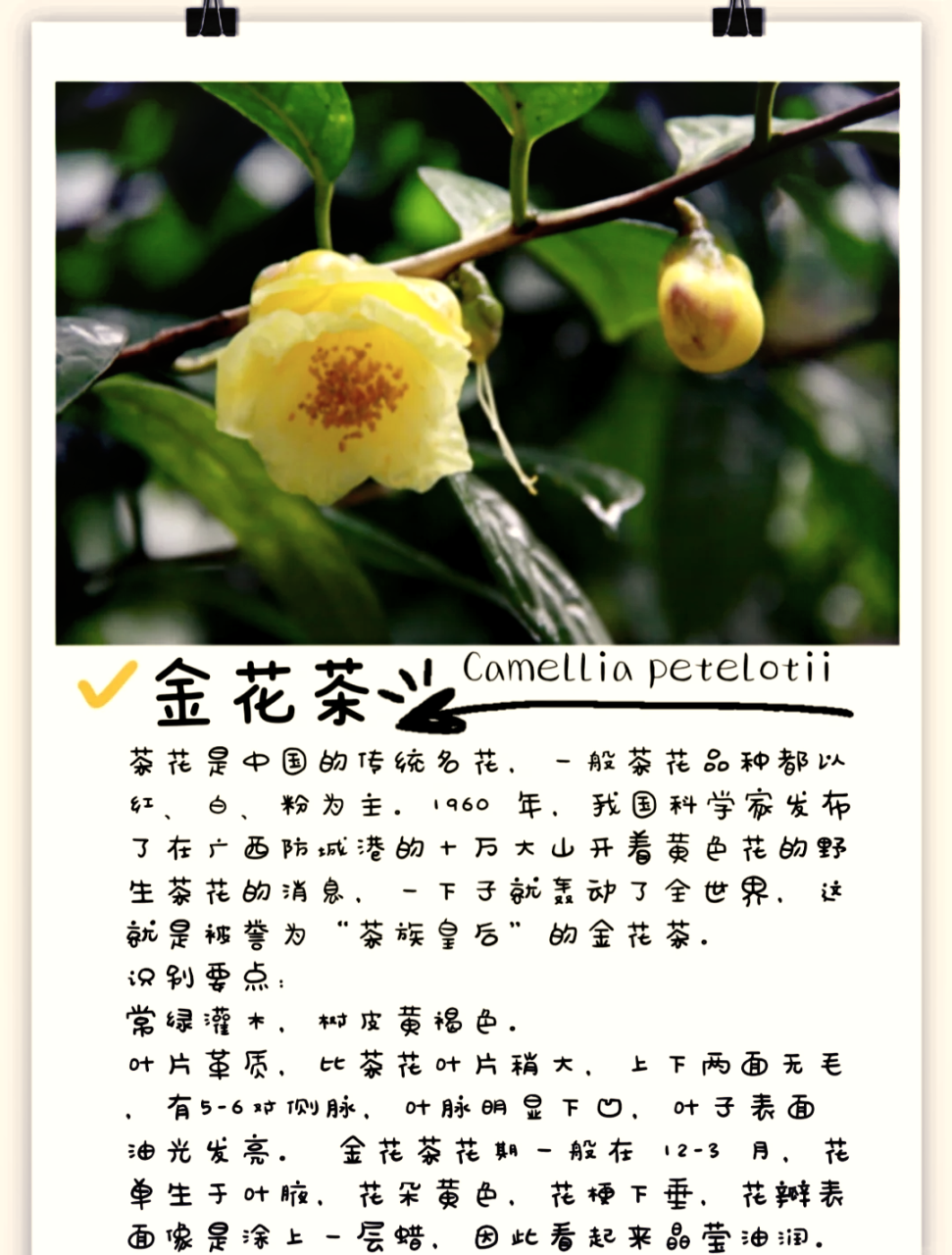 日常运用小窍门