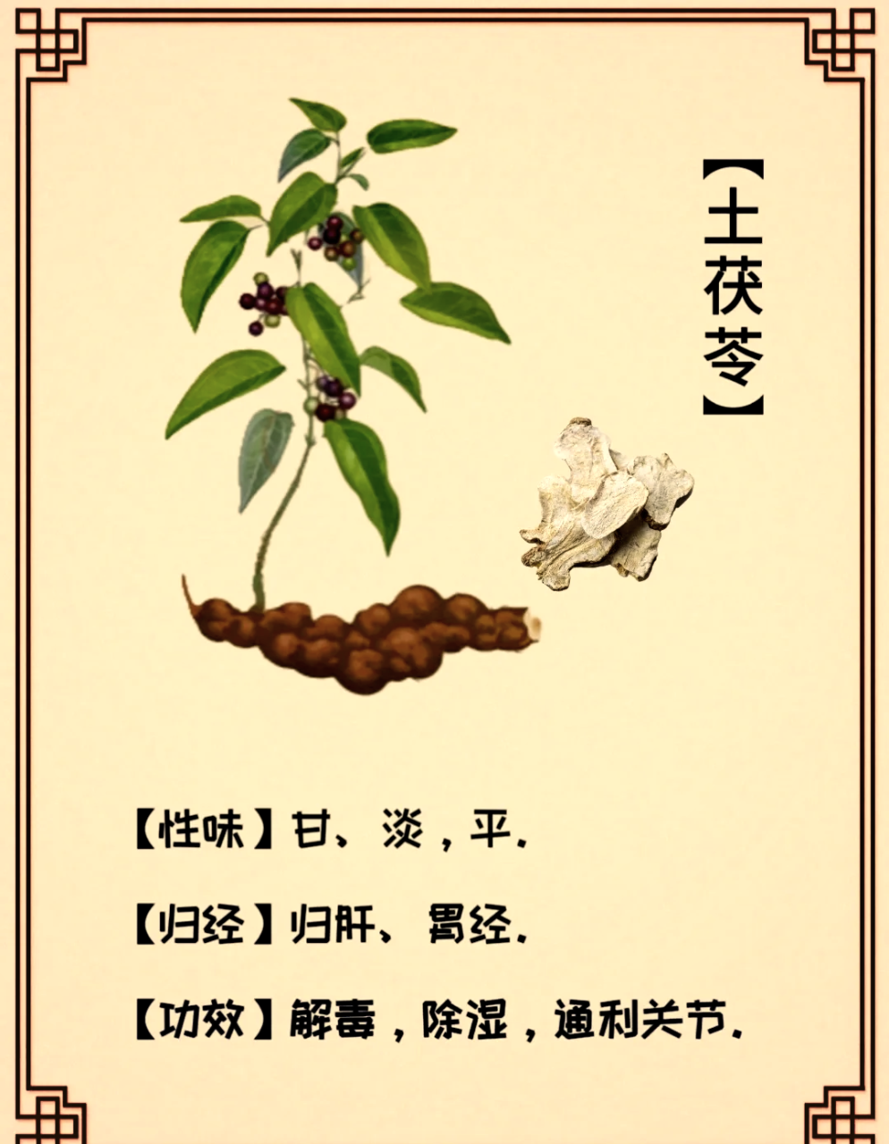 日常生活当中好用提议