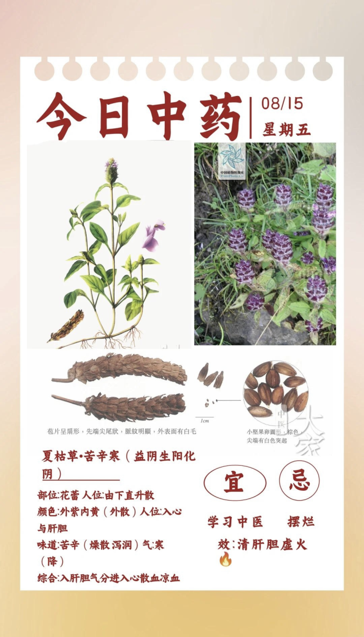 保护视力,缓解视疲劳