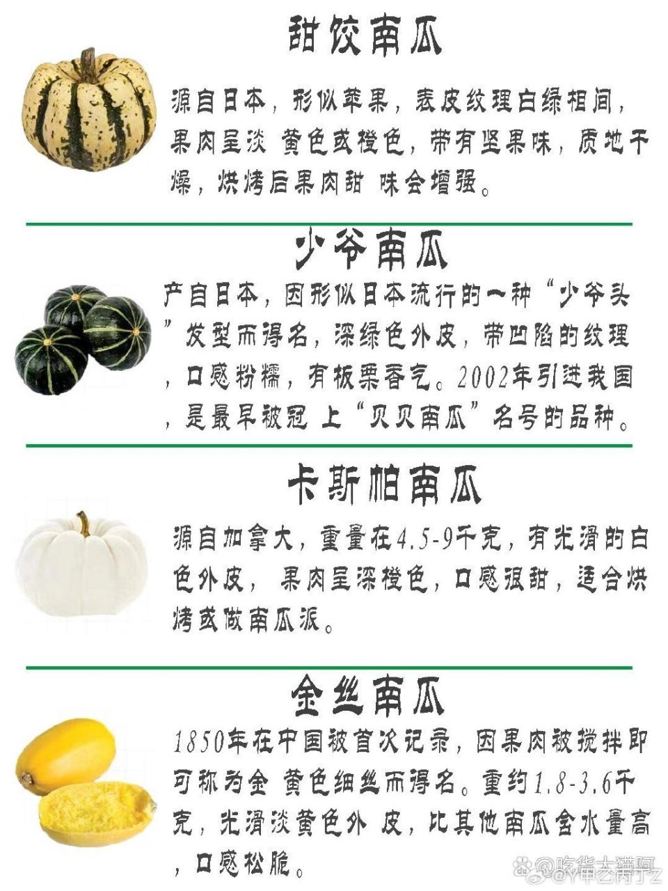 增强免疫力,减缓衰老