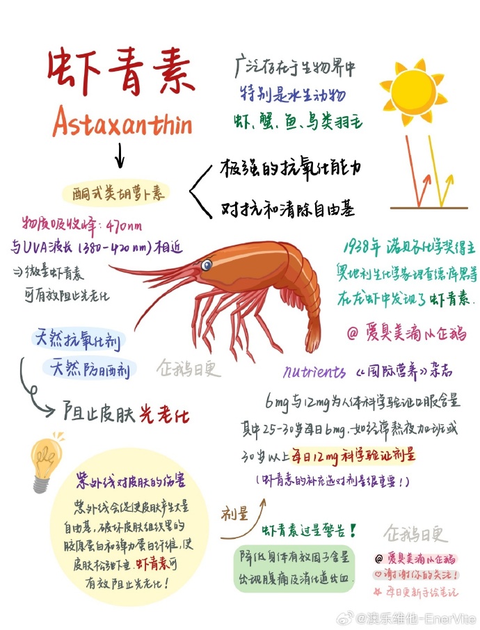 强大的抗氧化作用