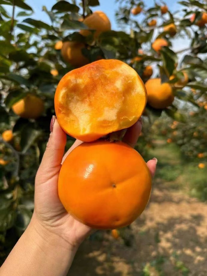 适合多种人群食用