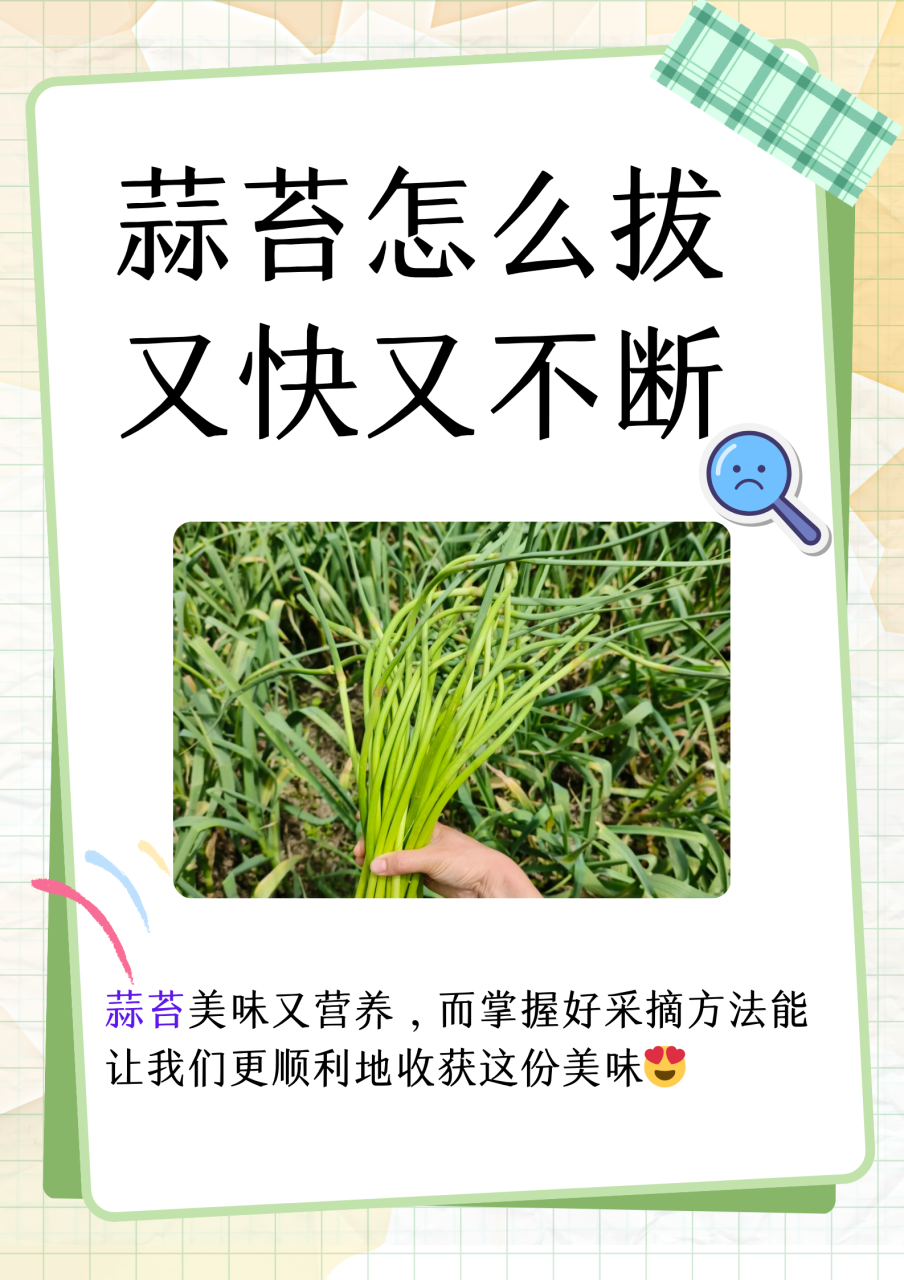 如何将蒜苔融入日常饮食