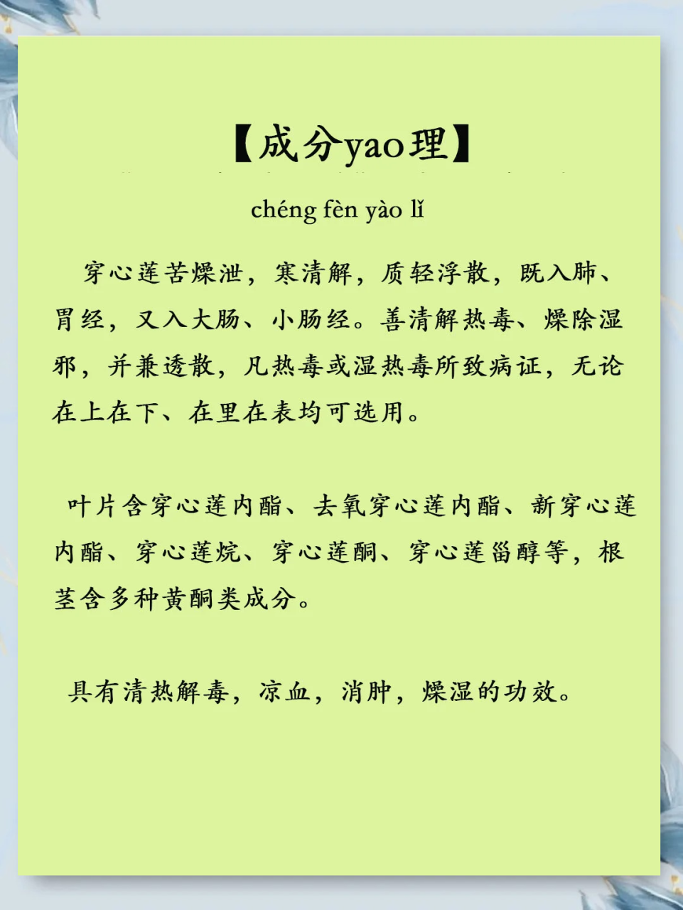 促进消化与排毒