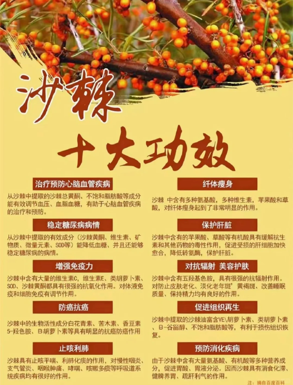 对身体等各方面的身心健康功效