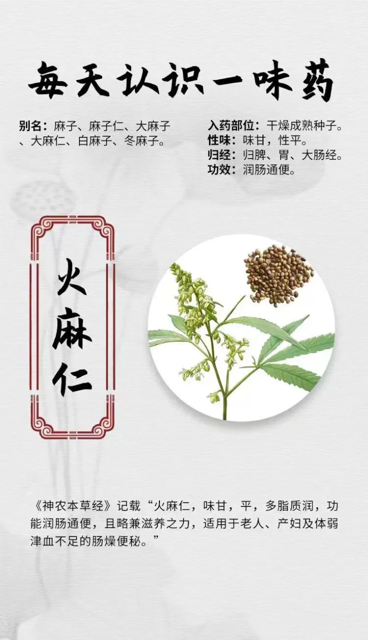 日常生活当中好用用途