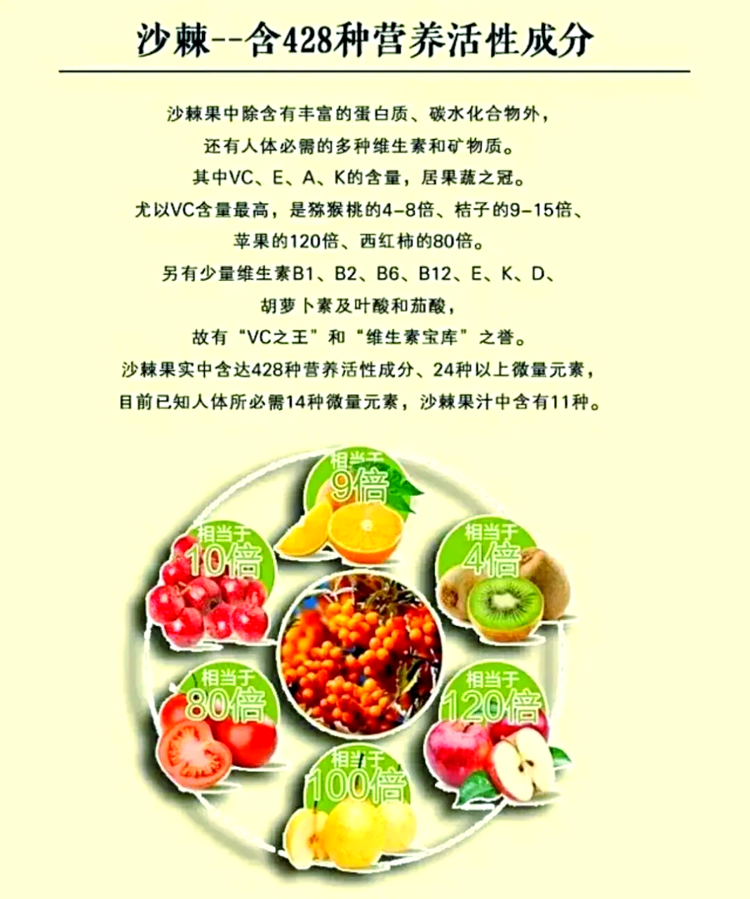 如何把沙棘融进日常饮食搭配?
