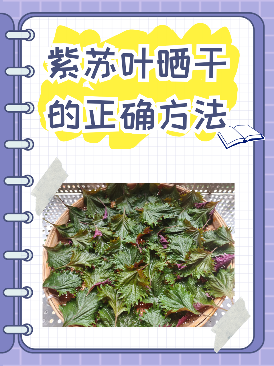 常见病的护理和调养