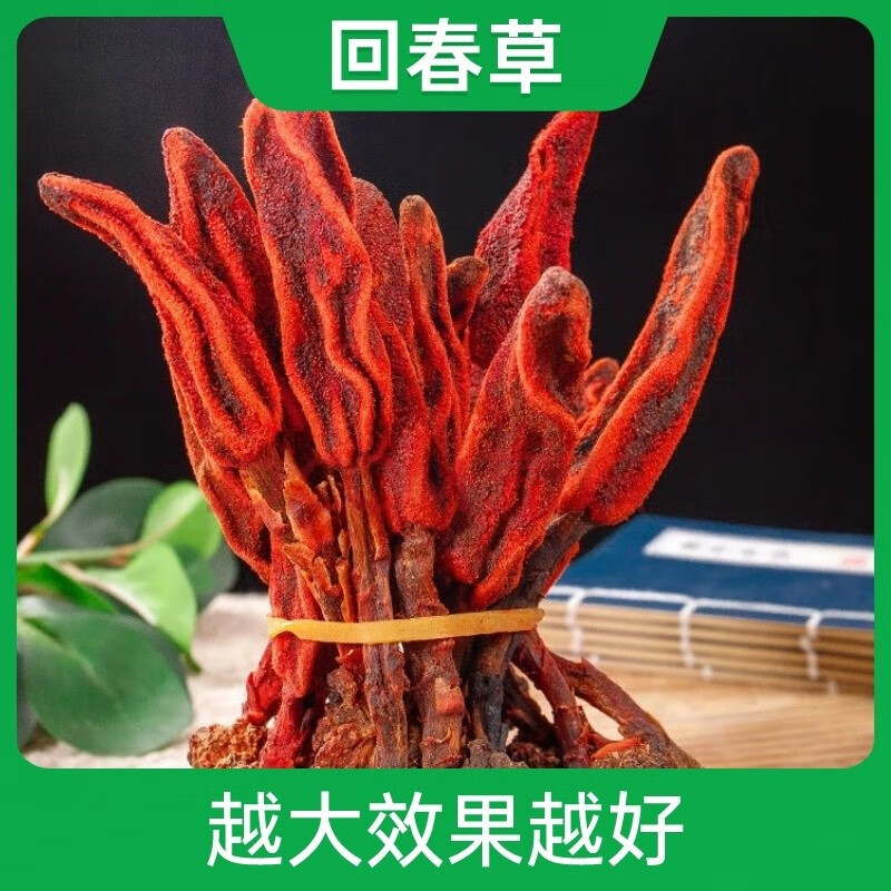 回春草健康作用